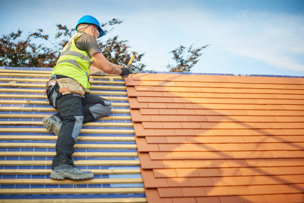 Sheet Metal Roofing in Royal Kunia, HI